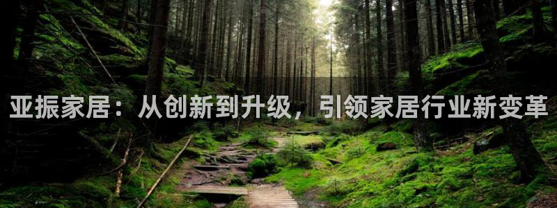 安信12怎么注册