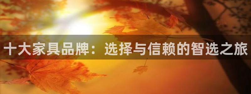 安信12平台注册