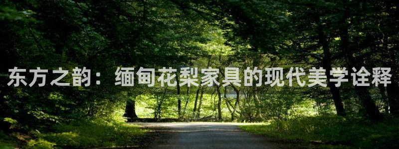 安信12主管