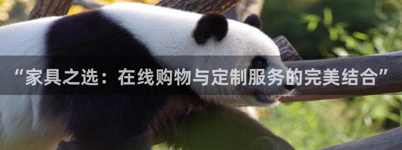 安信12怎么下载