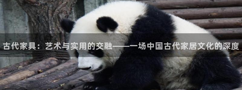 安信12娱乐登录网页