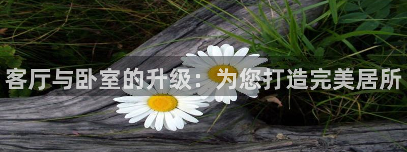 安信12平台