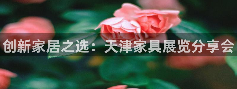 安信12彩票