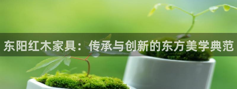 安信12周年庆典