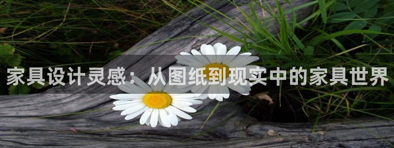 安信12
