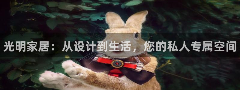 安信12级粉丝团福利