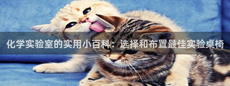 安信12是啥