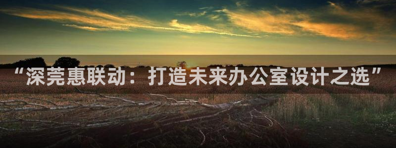 安信12是做什么