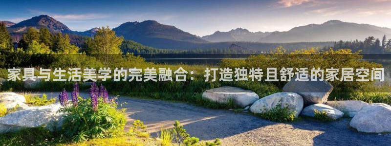 安信安翼 12账号