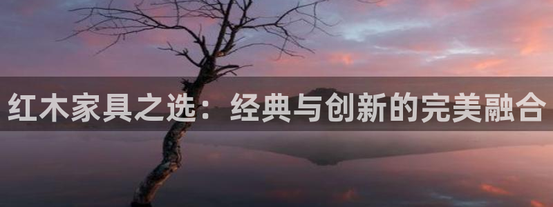 安信12级灯牌