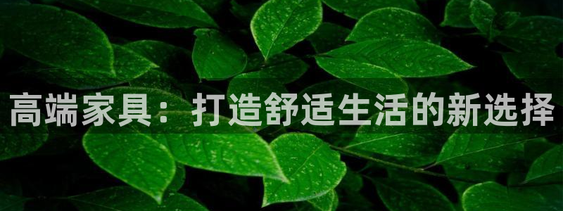 安信12娱乐7o777还