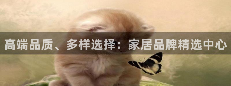 安信12包赔