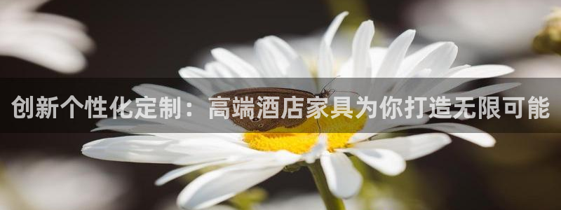 安信可 esp-12：创新个性化定制：高端酒店家具为你打造无