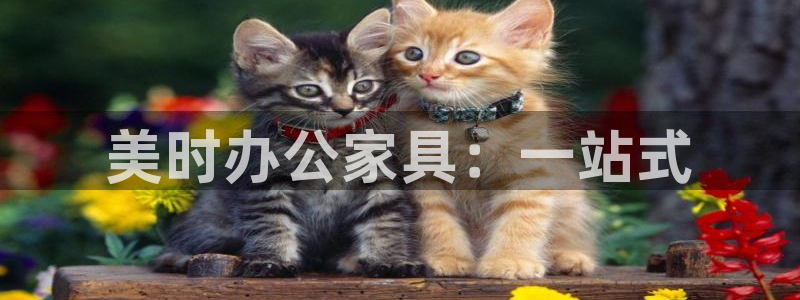 安信cw12系列：美时办公家具：一站式