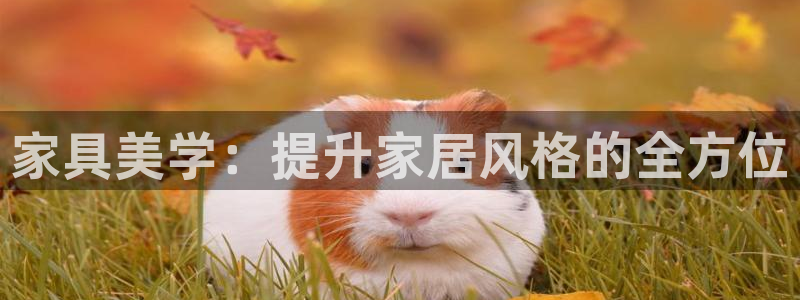 安信122853179Z空间