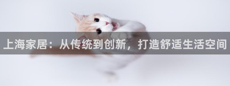 安信12主管