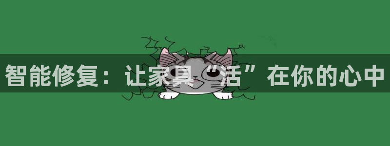 12月安信推荐