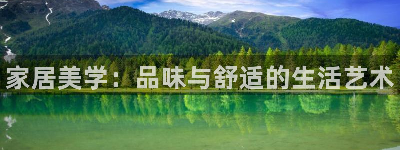 安信12级