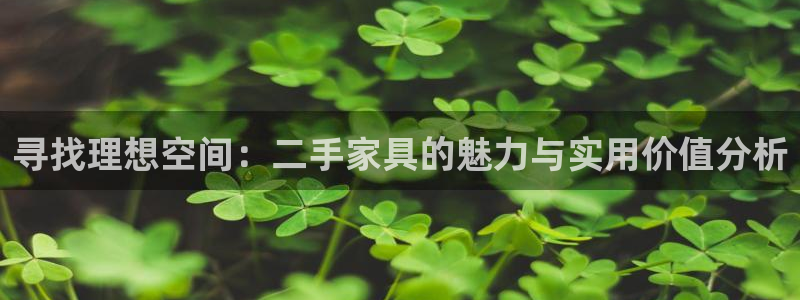 安信12怎么下载：寻找理想空间：二手家具的魅力与实用价值分析