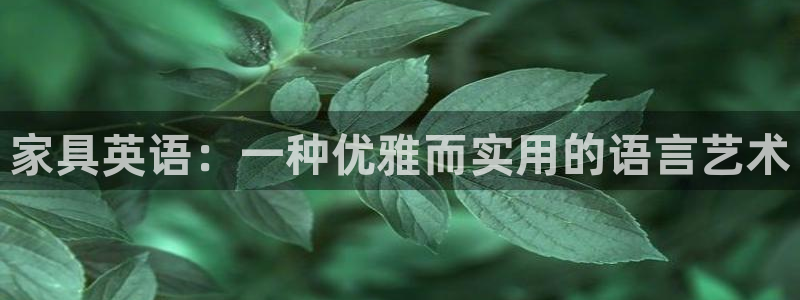 安信12正版下载