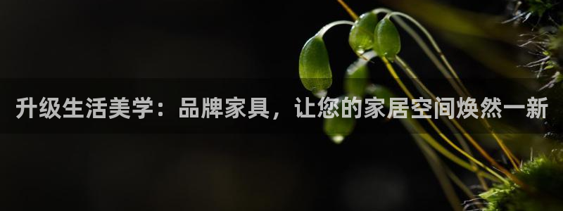 奇安信12流转场