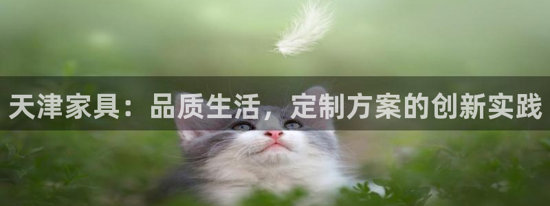 安信12娱乐招商探索空间