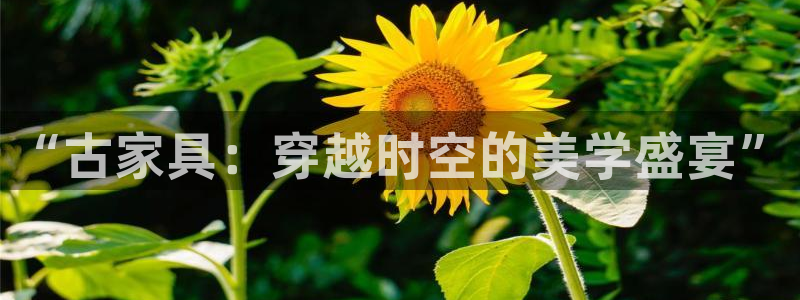 安信12app