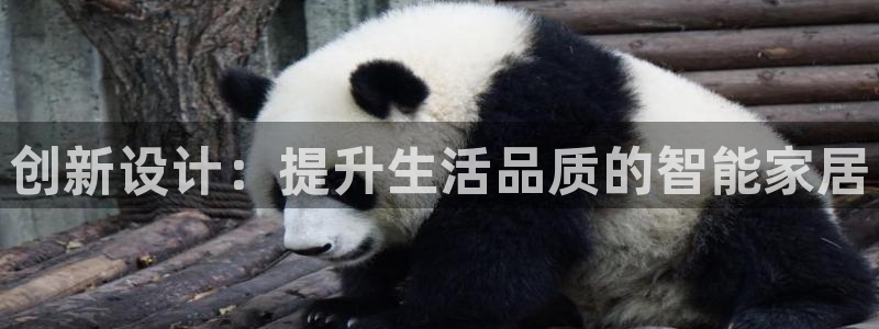 安信12娱乐登录网页