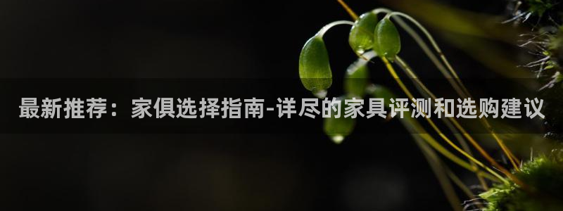 安信esp 12k：最新推荐：家俱选择指南-详尽的家具评测和