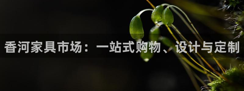 安信12网站