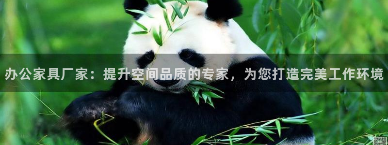 安信12位数资金号
