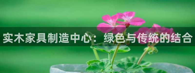 安信主管su金12手12指tq