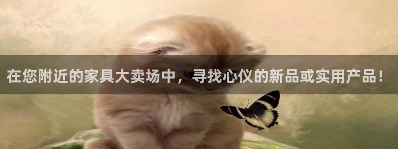 安信12招商