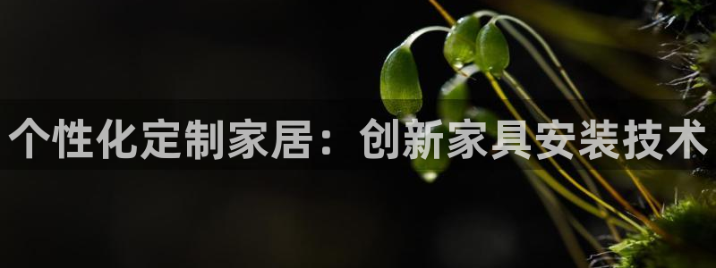 安信可12f12e：个性化定制家居：创新家具安装技术