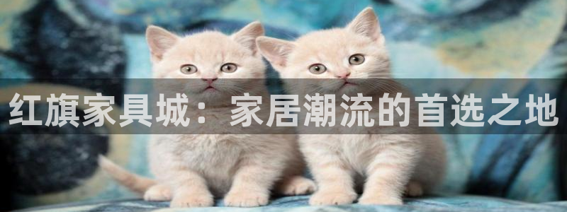 安信12是正规还是仿