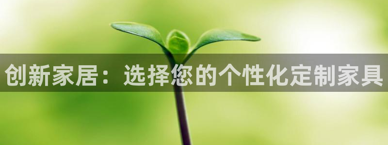 安信12娱乐招商探索空间：创新家居：选择您的个性化定制家具