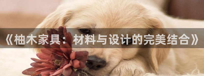 安信12官方下载