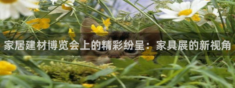 安信12是什么平台