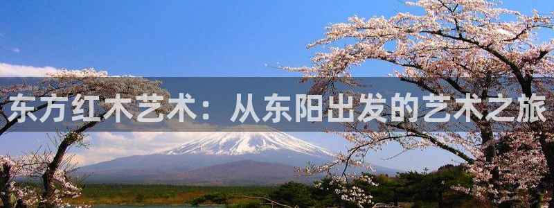 安信12正版下载