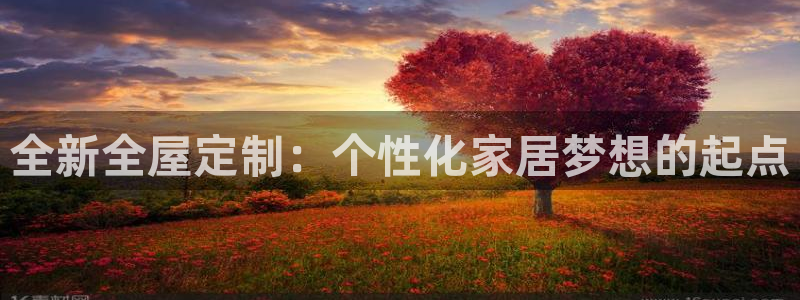 安信12注册代理