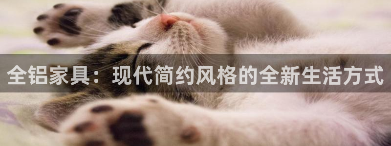 安信主管su金12手12指tq