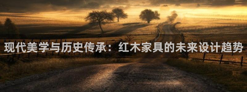 安信证券手机壳12