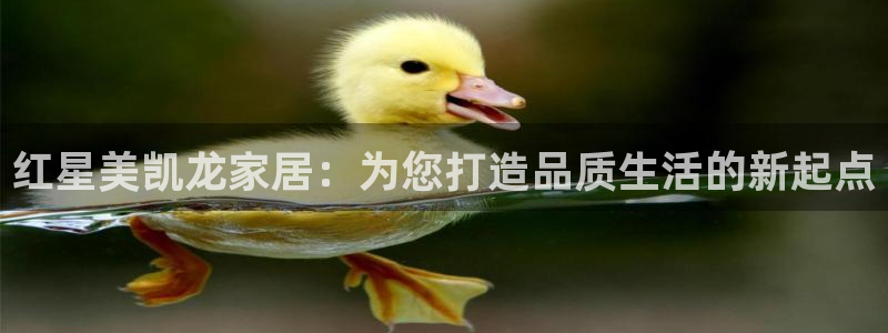 安信12登录网址