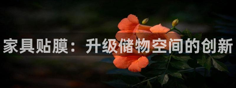 安信12是什么软件