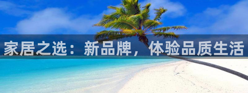 如何注销安信12软件