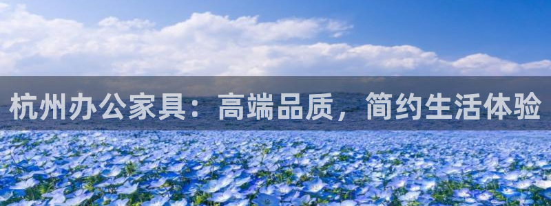 安信可 esp-12：杭州办公家具：高端品质，简约生活体验