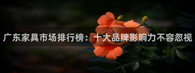 安信卓越12月：广东家具市场排行榜：十大品牌影响力不容忽视