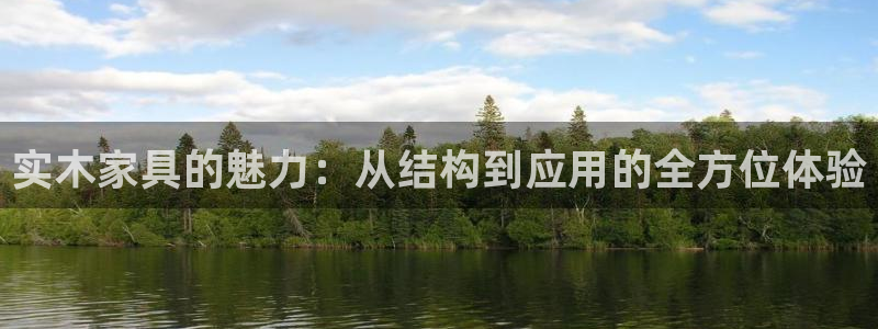 安信12是做什么