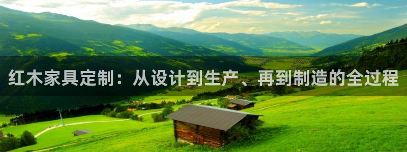 安信12平台介绍