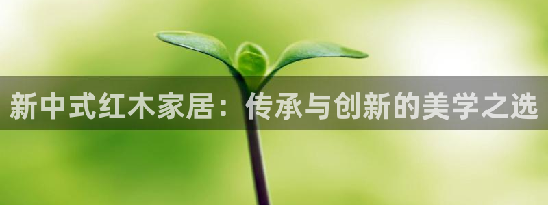 安信12娱乐开户